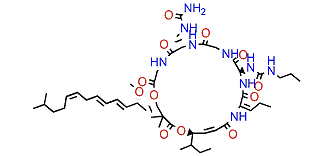 Lipodiscamide C